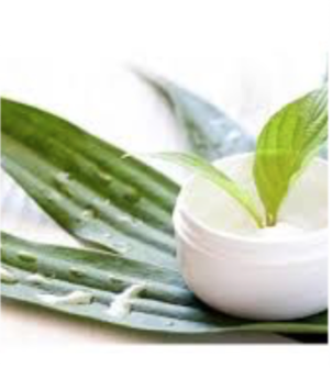 Capture d’écran 2017-10-02 à 17.54.59